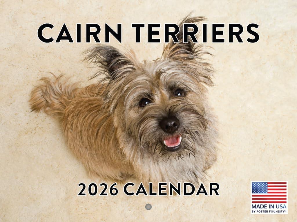 Cairn Terrier Calendar 2026 Wall 12 Month Monthly Cairn Terriers Gifts For Cairn Terrier Lovers Women Men Mom Dad | American Made In The USA