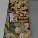 Artificial Flowers for Vase - Beige Silk Mums 10 Long Stems with Eucalyptus, Faux Flowers Home Decor, Neutral Tan Cream Floral Arrangement, Fake Chrysanthemum Pom Pom Stems, Spring Fall Centerpiece