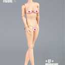 1/6 Scale Female Figure Body, Female Pale Skin Large Bust Half-Seamless Flexible Action Figure Body Doll Collection
