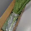 FOREST PRINCE 42" Artificial Boston Ferns, Bush Plants 2 Pack for Outdoors
UV-Resistant Large Fake Ferns, 65 Dense Fronds Each, Zero Maintenance, Washable Silk Leaves, Garden, Porch & Patio Decor