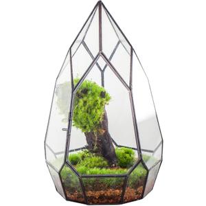 NCYP Modern Black Glass Geometric Terrarium Container with Door - Balcony Planter DIY Display Flower Pot for Succulent Fern - Tabletop Miniature Botanical Fairy Garden (No Plants)