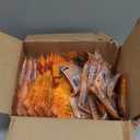 HotHands Hand Warmers - Long Lasting Safe Natural Odorless Air Activated Warmers - Up to 10 Hours of Heat - 40 Pair