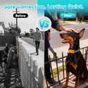 Dog Bark Collar for Large Medium Small Dogs, Effective No-Bark Collar, Smart Barking Collar, Rechargeable Bark Collar with 7 Sensitivity, 3 Modes, Waterproof,Neon Orange