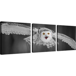 Black and White Barn Owl Wall Art Canvas Bird Decor Red Beak Owl Pictures on Wall Art for Home Office Decorations Living Room Bedroom and Kitchen Decor 3 Pcs Framed Canvas Prints 12X12inches (12x12inchx3pcs(30x30cmx3pcs), Red Beak Owl Wall Art)