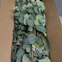 lovemoon 130 Pcs Artificial Mixed Eucalyptus Stems Bulk, 5 Kinds of Faux Greenery Eucalyptus Leaves Bulk for Vase Wedding DIY Bouquets Floral Arrangement Home Decor (130, Green)