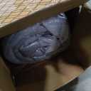 VISCOUNTESS Queen Mattress, Hybrid Mattresses 10 Inch Euro Top Medium Firm for Back & Lumbar Support, 100 Night Trial, Individual Pocket Spring Bed for Motion Isolation & Pressure Relief Black