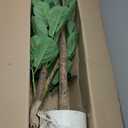 5FT Artificial Fiddle Leaf Fig Tree, Artificial Fig Tree Floor Plant with White Planter, Premium Silk Fake Plants for Living Room, Bedroom, Office, Home & Indoor Dcor