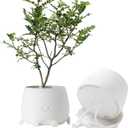 TOPOLA Happy Face Planter, 5.2 Inches Plastic Plant Pot, Self Watering Plant Pot with Drainage Holes for Indoor Outdoor, Succulent Pot, Funny Flower Pot, White