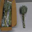 120 Pcs 4 Kinds Mixed Artificial Eucalyptus Leaves Stems Bulk Fake Silver Dollar Eucalyptus Bundle Faux Plants Greenery for DIY Bouquets Floral Arrangement Wedding Engagement Party Decor (Green)