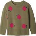 GAP Baby Girls' Intarsia Sweater, 12-18 M