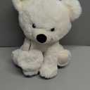 White Teddy Bear With White Heart