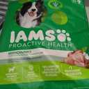 IAMS Proactive Health Adult Minichunks Premium Dry Dog Food, Adult Dog Food Dry Recipe, 30 lb. Bag, Best By E12/21/25