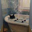 ADKYUVRR Funny Black Cat Bathroom Canvas Wall Art 16x24in