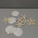 JQAQJU 3-4 Inches Large Starfish and Scallop Shells for Crafts 10PCS, Natural Beach Sea Shells for Crafting, Baking Shells Perfect for White Christmas Decor Beach Party Wedding Fishtank DIY Crafts