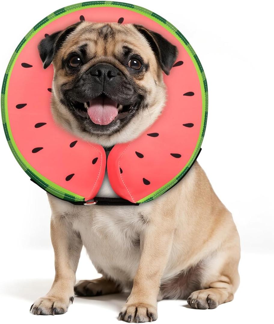 MIDOG Dog Cone Collar for Large Medium Dogs, Soft Inflatable Dog Cone Alternative After Surgery, Adjustable Protective Recovery Cone - Alternative E Collar Does Not Block Vision (Watermelon,M)