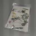 2 x Real Pressed Flowers, Natural Dried Pressed Flowers for Resin Mold, Paper Making, Art Frame Making, Soap, Candle, DIY Craft Supplies Beginner Kits (Fq-cp05)