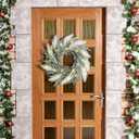 Juexica 19.7 Inch Lighted Christmas Wreaths for Front Door Flocked Norfolk Pine Wreaths with Boho Pampas Grass White Coastal Xmas Decor for Indoor Outdoor Wall Window Home Xmas Seasonal Decor