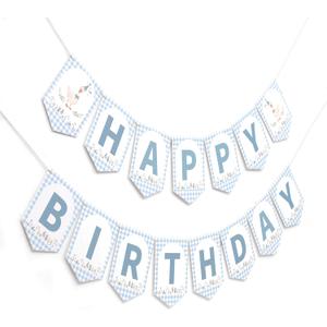 One Silly Goose Happy Birthday Banner- Goose 1st party Decorations, Blue Happy Birthday Banner, Lawn Party Decorations Photo Prop