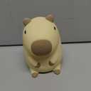 DREAMING MY DREAM Cute Capybara lamp,Squishy Capybara Night Light LED Rechargeable Novelty Animal Night Lamp,2 Levels Dimmable Nursery Nightlight for Kids,Touch Lamp for Bedroom