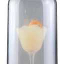 Smoking Cloche Dome Lid,Clear Acrylic Cocktails Drinks Food Dish Display Dome Lid Smoker Gun Dome Hood Smoke Infuser Accessory for Plates Bowls Glasses (33cm)