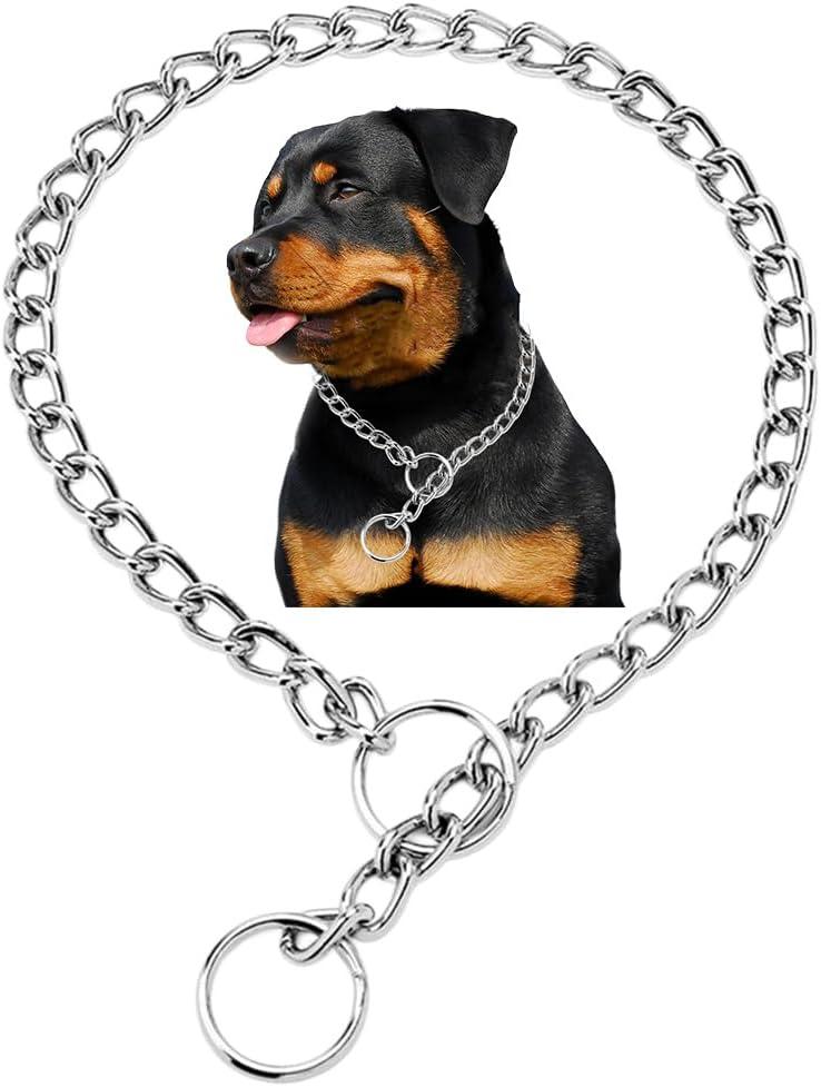 Silver Dog Chain,Metal Slip Link P Chain Training Heavy Duty Male Boys Martingale Collar Female Girls Puppy Collars for XXS XS Small Medium Large Big Breed, (L(Neck Max 20inch)D3.5mm)