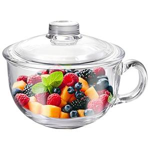 Glass Cereal Bowl With Handle and Lid - Clear Small Soup, Yogurt, Oatmeal Breakfast Bowl - Microwave Safe Glassware for Dessert, Pasta, Rice - 500ml/16 oz