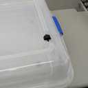 HOMZ 2-Pack Under Bed Storage, Clear Plastic Containers with Lids, 56 Quart, Blue Latch