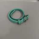 CollarDirect Rolled Leather Dog Collar, Soft Padded Round Puppy Collar, Handmade Genuine Leather Collar Dog Small Large Cat Collars 13 Colors (12-15 Inch, Mint Greent Smooth)