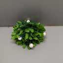 Anderson's Hanging 5" Mistletoe or Kissing Ball  Christmas, Christmas in July, Bridal Showers, Weddings, Parties & Holiday Dcor for Home, Office, Events & Gift Giving