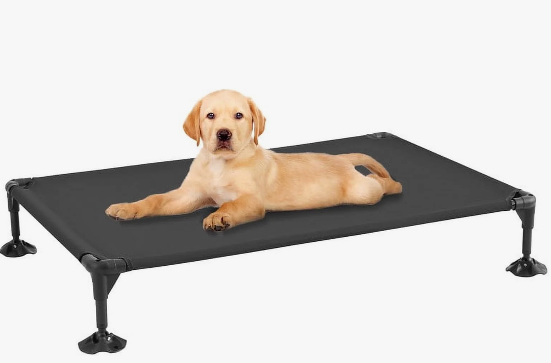 Elevated Dog Bed, Portable Raised Pet Cot, Chew Proof Dog Bed Platform with Adjustable Anti-Slip Feet, Large Black