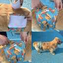 Male Dog Diapers Reusable High Absorbing Belly Bands for Male Dogs Small Washable Belly Bands with Cute Patterns 5packs (M, 11 - 14 Waist)
