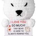 2 x TOYMIS Positive Polar Bear Crochet, Emotional Knitted Polar Bear with Cheer Card Support Crochet Animal Doll for Encouragement Gift Birthday Christmas Stocking Stuffers (for Friends)