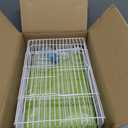 Small Bird cage,Travel Cage for Birds and Small Animals, Parakeet cage,Bird Carrier Travel cage,Bird Travel Cage,Green (L)