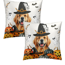 Evlaschin 18"x18" Halloween Dog Pillow Covers Set of 2, Spooky Gothic Pumpkins Ghost Bats Cotton Throw Cushion Cover, Funny Golden Retriever Soft Pillow Cases for Sofa Couch Car Bed Decor