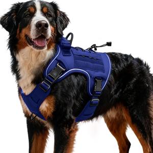 Heavy-Duty Tactical Dog Harness for Large Dogs, No Pull Adjustable Reflective Pet Vest with Molle System, K9 Military-Grade Control for Service Training, Outdoor & 10+ Breeds, Dazzling Blue, XX-Large (XXL: Neck: 25-37'', Chest: 36-42'')