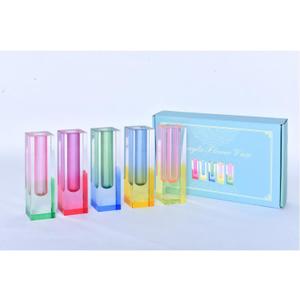 5 Pcs Acrylic Vase Set, Bud Vase for Centerpieces, Maximalist Decor Cute Flowers Vases for Modern Home, Office, Bedroom, Living Room, Dining Table (Pink, Purple, Green, Blue, Yellow)