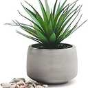 Kurrajong Farmhouse Artificial Plant Indoor | 7" high Fake Plant | Artificial Succulent in Pot | Fake Succulent | Faux Plant in Pot for Desk Decor