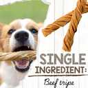 Nature Gnaws Tripe Twists for Dogs 4-5" (20 Count) - Crunchy Grain Free Reward Snack for Small, Medium & Large Breeds - Natural Beef Dog Chew Treats - Rawhide Free