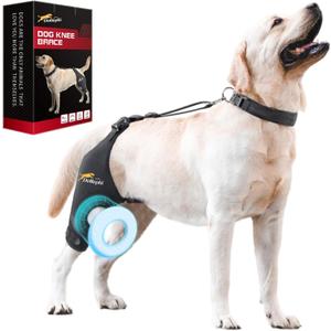 Dog Knee Brace for Torn ACL Hind Leg, Support for Patella Dislocation or Osteoarthritis, Cruciate Ligament Injuries, Cut-out Non-slip Wrap Promotes Patellar Stability,Patent Pending(Right Leg,XL)