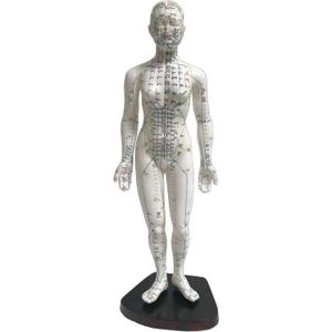 Female Acupuncture Model 19" with Chinese and English Points