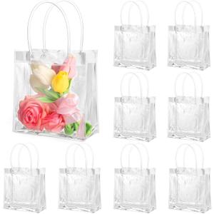 BESARME 20 Pack 6.3" x 5.9" x 2.8" Clear Gift Bags with Handle, Reusable Plastic Small Gift Bags for Party Favors Wedding Birthday