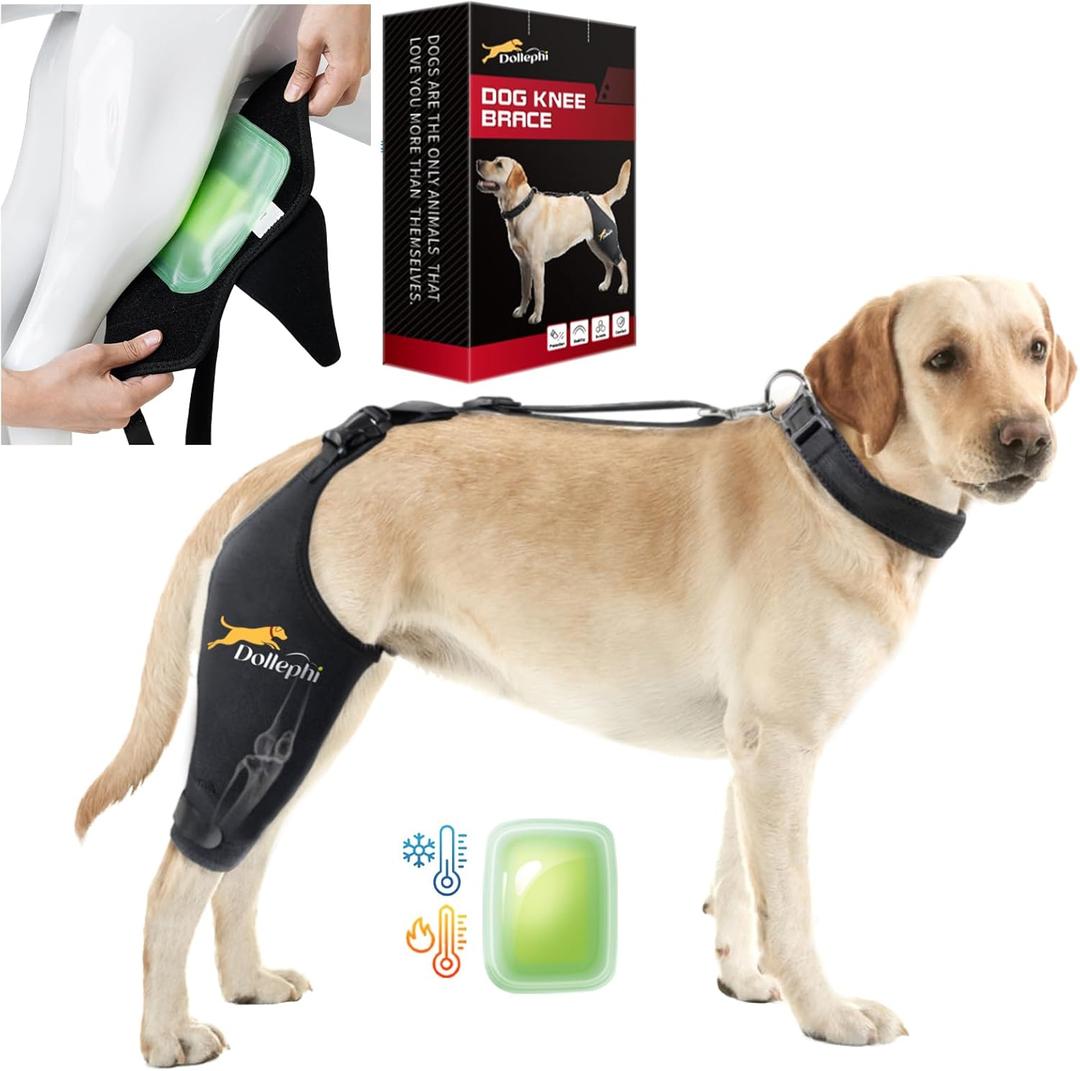 Dog Knee Brace for Torn ACL Hind Leg, Hot/Cold Compress for Patella Dislocation or Osteoarthritis, Cruciate Ligament Injuries, for Medium & Large Dogs (Right Leg, L)
