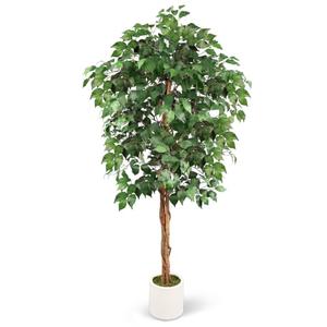 Curved Leaf 5FT Artificial Ficus Tree with White Plante UV Resistant