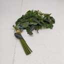 JUSTOYOU Faux Artificial Eucalyptus Stems 23.6" Tall, Greenery for Vase 13PCS Faux Artificial Greenery Stems Flowers Mixed Fake Greenery for Bouquets Floral Arrangement Wedding Party Decor (Green)