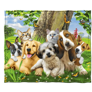 Dawhud Direct Fleece Throw Blanket By Howard Robinson Puppy And Kitten Pals