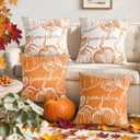DUZXLCQ Fall Pillow Covers 18x18 inch Set of 2 White Pumpkins Thanksgiving Autumn Fall Decorative Throw Pillow Covers Farmhouse Decor Cushion Case Harvest Decorations for Couch Sofa Bed Home Outdoor