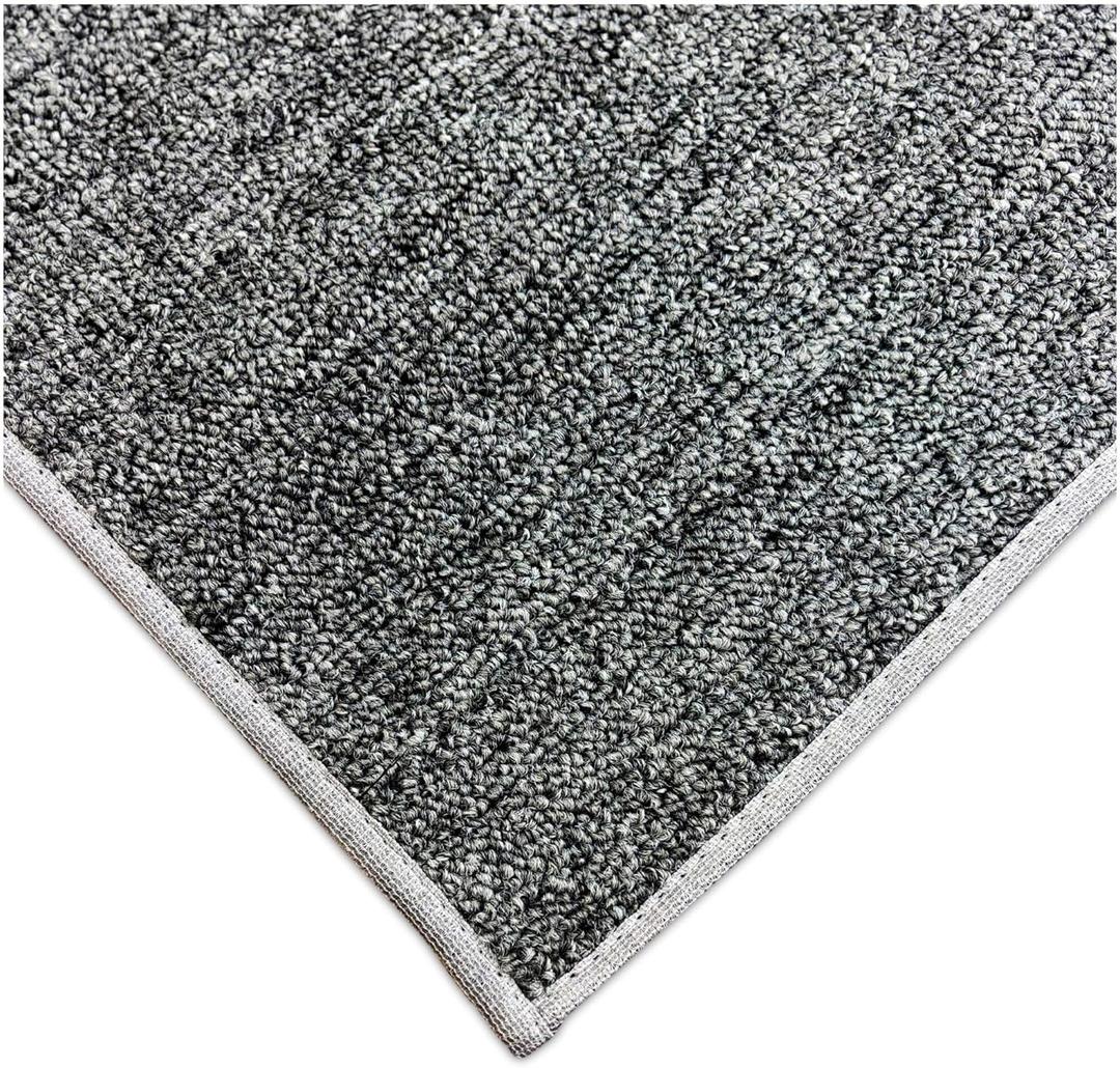 KOECKRITZ Indoor/Outdoor Carpet | Durable & Easy to Clean