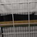FXW Rollick Unleashed Dog Playpen for Indoor, Yard, RV Camping, 32 inch 8 Panels for Small and Medium DogsPatented
