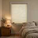 2 Pack 
 Double Cell Light Filtering Cordless Shades