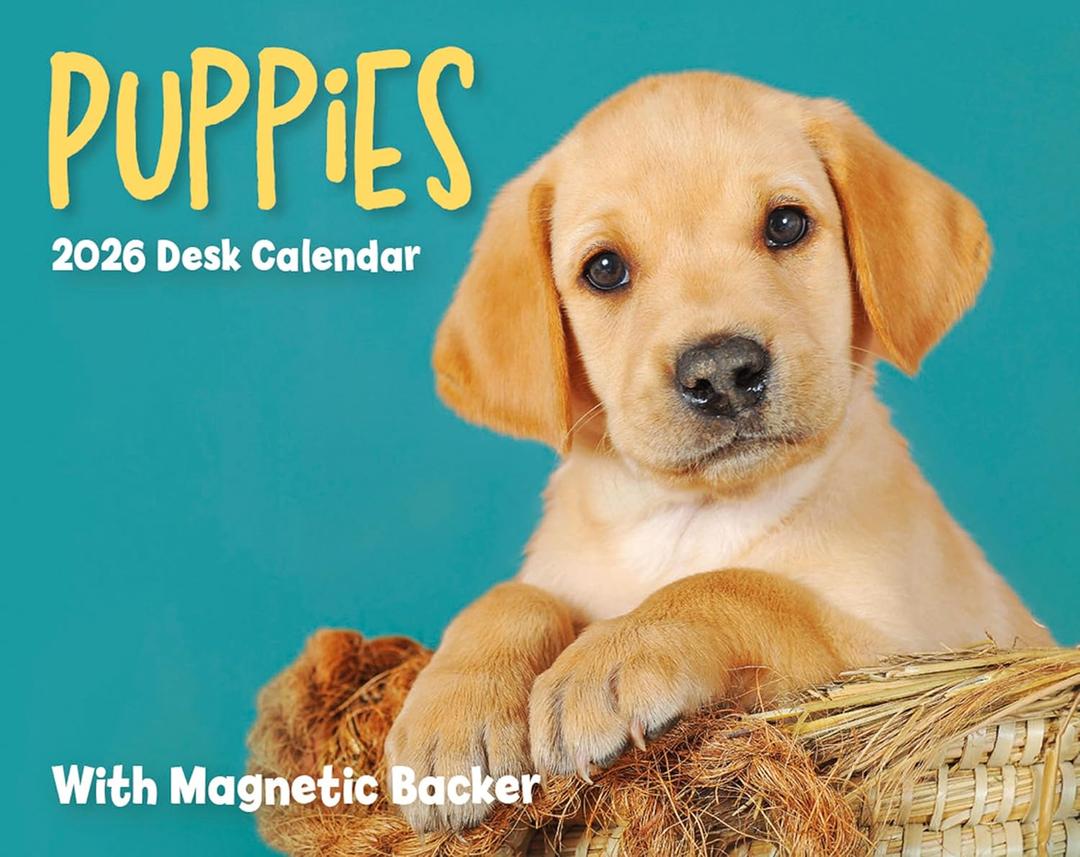 2026 Puppies Mini Box Calendar